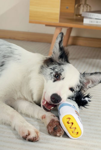 אמ פטס M-Pets פחית עוגיות פלורה להחבאת חטיפים לכלב