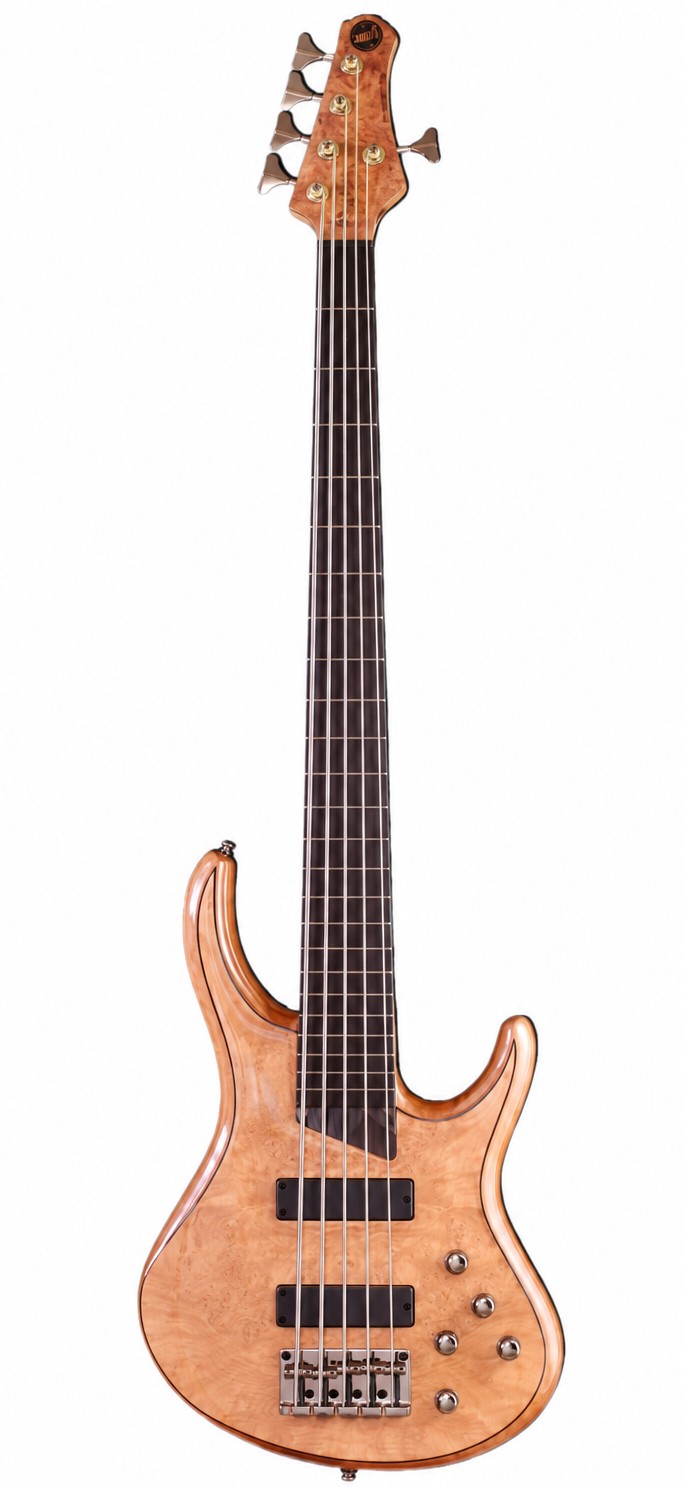 גיטרה בס 5 מיתרים MTD Kingston Z Fretless Bass