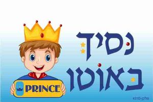 שלט נסיך באוטו