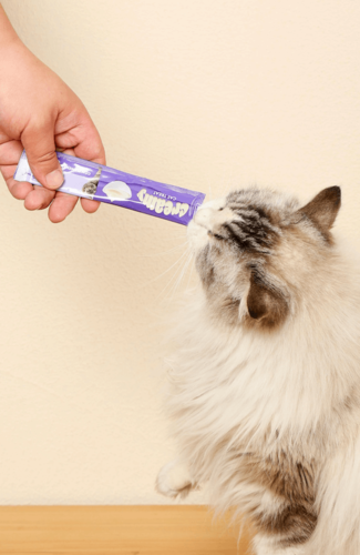 אמ פטס M-Pets חטיף שלוקים לחתול טונה 4 יחידות