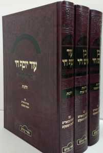 בן איש חי, עוד יוסף חי ג"כ- מאיר עינים