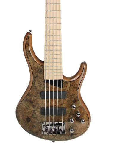 זווית נוספת MTD Kingston ZX 5 Strings - Trans Mocha Bass