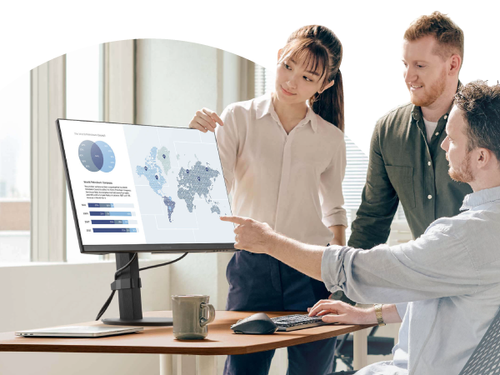 מסך מחשב Viewsonic VA2408-HDJ