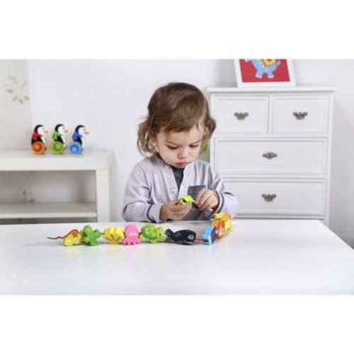 השחלת חיות ים מעץ