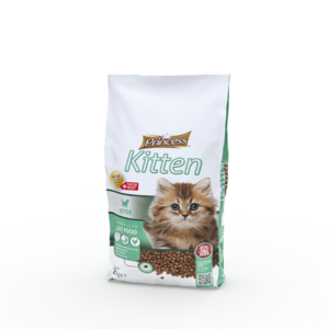 PRINCES KITTEN 