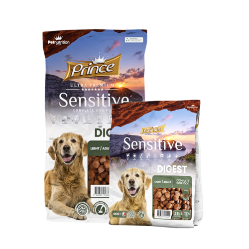 SENSETIVE DIGEST