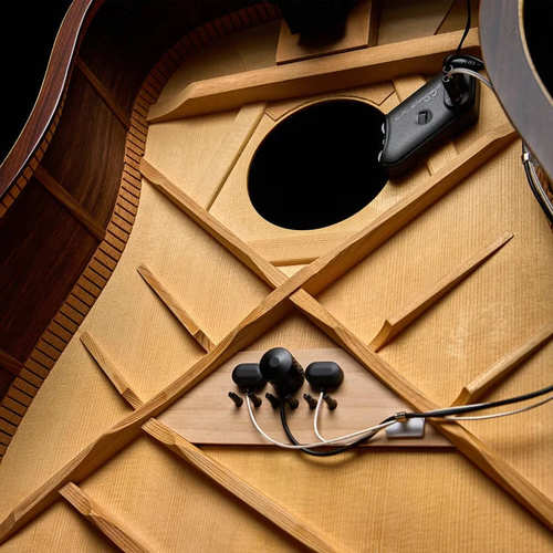 פיק אפ לגיטרה אקוסטית L.R.BAGGS HiFi Duet System