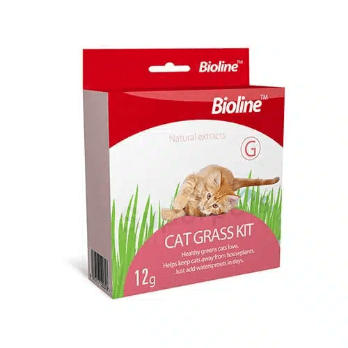 ביוליין Bioline ערכת דשא לחתולים 12 גרם
