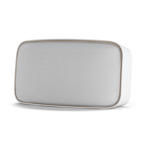 DALI Gardian OW-6 Outdoor Speakers