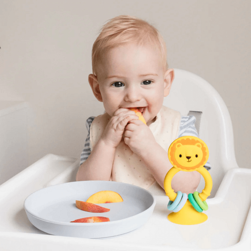 חבר לארוחה - אריה סיליקון ואקום