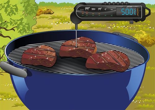 מד טמפרטורה מקצועי LASERLINER ThermoMaître 082.029A - מכשיר דיגיטלי עם דקר מתקפל ארוך ומסך LCD גדול לבישול וצלייה מדויקים
