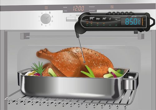 מד טמפרטורה מקצועי LASERLINER ThermoMaître 082.029A - מכשיר דיגיטלי עם דקר מתקפל ארוך ומסך LCD גדול לבישול וצלייה מדויקים