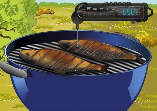 מד טמפרטורה מקצועי LASERLINER ThermoMaître 082.029A - מכשיר דיגיטלי עם דקר מתקפל ארוך ומסך LCD גדול לבישול וצלייה מדויקים