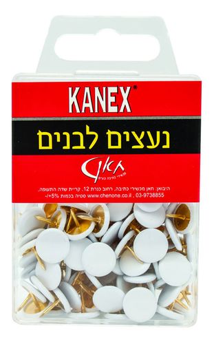 100 נעצים לבנים לסוכות
