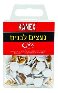 100 נעצים לבנים לסוכות