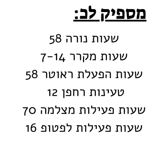 תחנת כח EcoFlow DELTA 3: תחנת כוח ניידת 1024Wh לבית ושטח | יבואן רשמי 