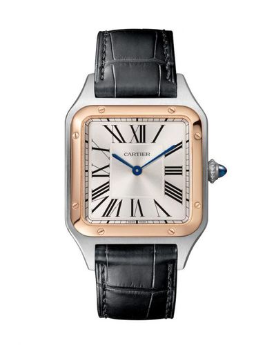 CARTIER דגם W2sa0037