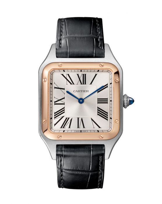 CARTIER דגם W2sa0037