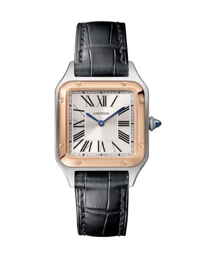 CARTIER דגם W2sa0038