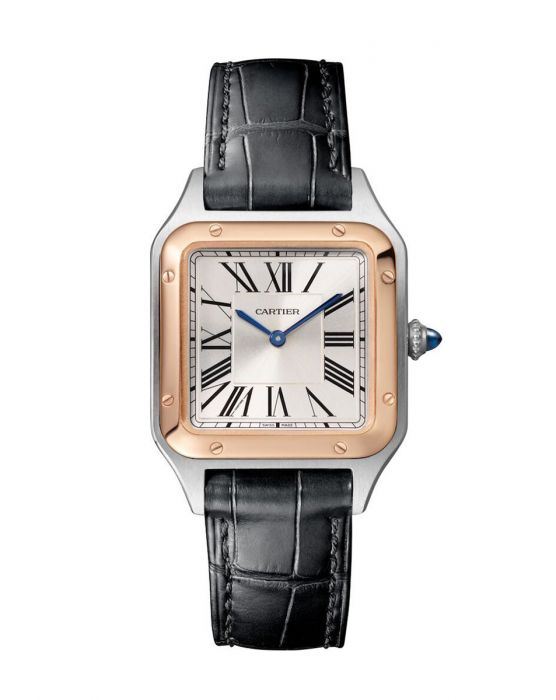 CARTIER דגם W2sa0038