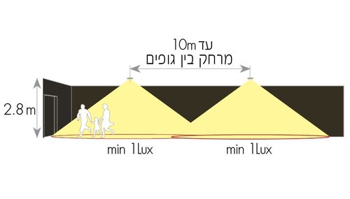 תמונה 2