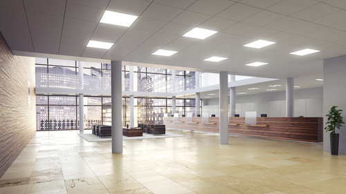 תמונה 2