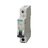 מפסק אוטומטי זעיר אופיין C חד פאזי 5SL6 116-7 1X16C SIEMENS
