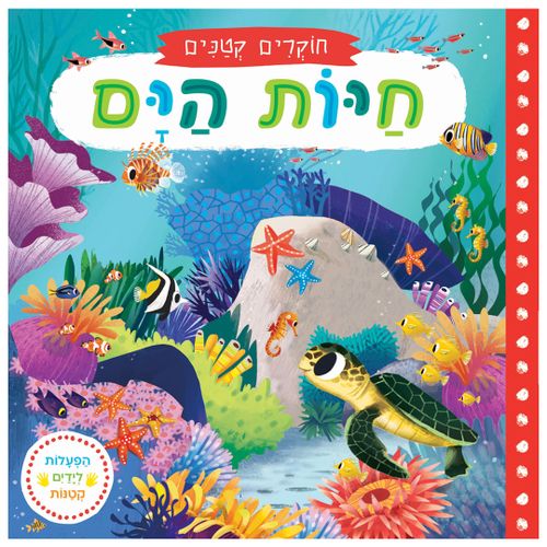 חוקרים קטנים: חיות הים – ספר קרטון