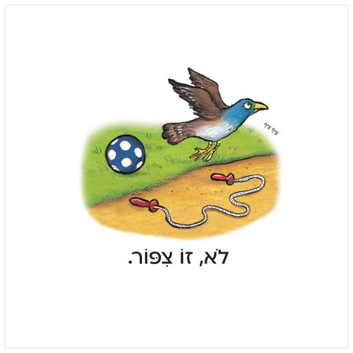 מי מתחבא בפארק? – קרטון
