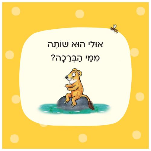 מי מתחבא בספארי? – קרטון