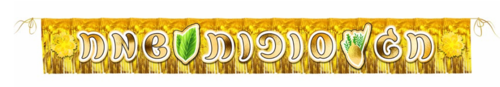 שרשרת פרנזים זהב מהודרת עם כיתוב 'סוכות שמח'