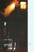 עמרם - אסף שור  ידיעות אחרונות