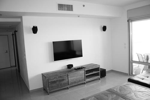 monitor audio mass