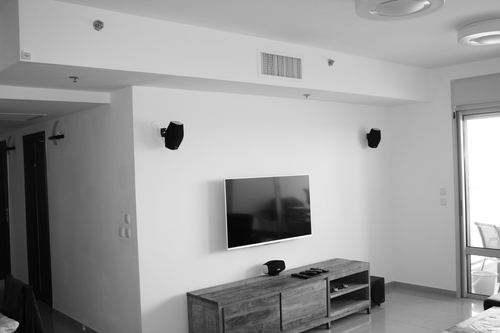 monitor audio mass