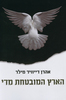 הארץ המובטחת מדי - אהרן דייוויד מילר 