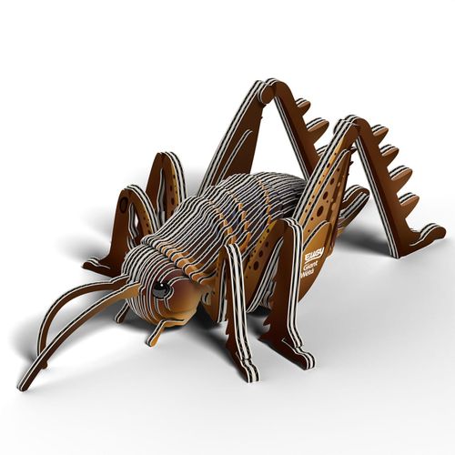 יוגי חרגול ענק Weta