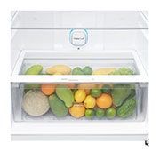 מקרר LG מקפיא עליון בנפח 506 ליטר דגם GR-M6781BU- יבואן רשמי! 