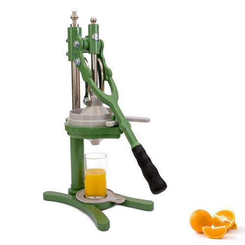 מסחטת זקסנברג הדרית - חולית