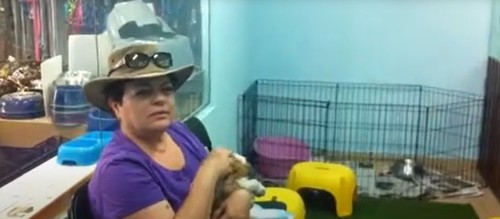 לקוחות ממליצים – גור קבליר קינג צ’ארלס ממולי חיות מחמד