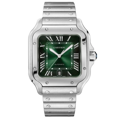CARTIER דגם WSSA0062