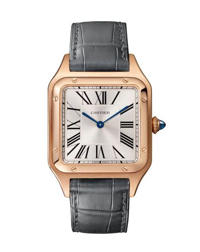 CARTIER דגם WGSA0116