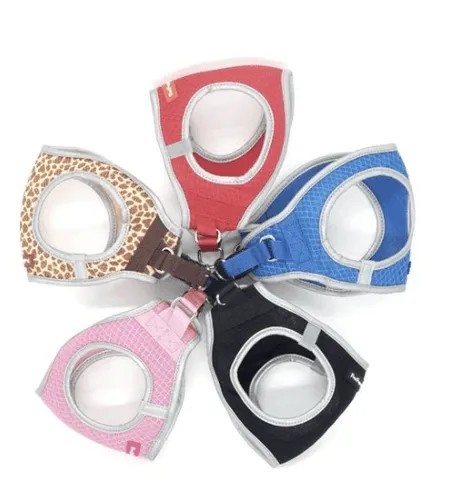 ריתמה רשת לכלבים