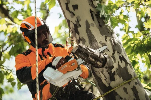 איש מקצוע מבצע גיזום בעץ עם מסור שרשרת STIHL וקסדת מגן Advance X-Climb ME להגנה מלאה