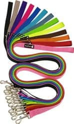 רצועת בד בייסיק לכלבים