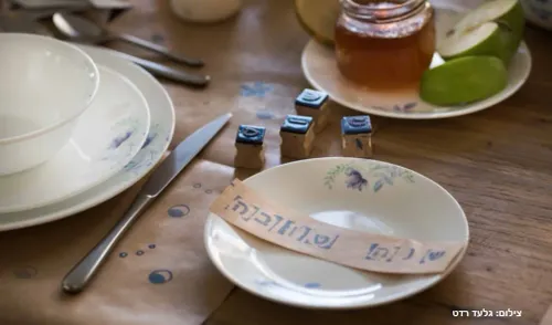 צלחת מנה עיקרית 26 ס