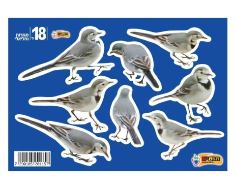 מגזרות נחליאלי - 18 יח