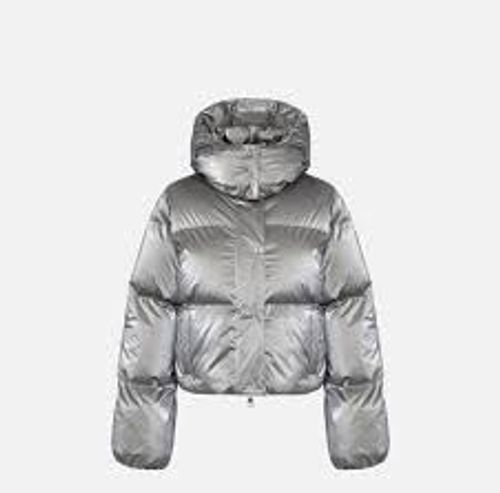 Jacket Elisabetta Franchi | Regular Fit | color metallic 