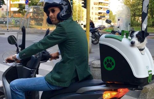 תיבת נשיאה POW לחיות מחמד מותקנת על אופנוע, עשויה פוליפרופילן עמיד עם חלון פוליקרבונט נפתח, מערכת אוורור כפולה ולוח הרכבה אוניברסלי. מתאימה לכלבים עד 10 ק