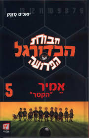חבורת הכדורגל הפרועה אמיר (יד 2) נוער - ילדים