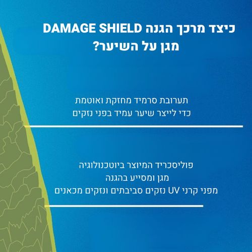 מרכך הגנה DAMAGE SHILD לשיקום והזנת השיער לכל סוגי השיער 250 מ